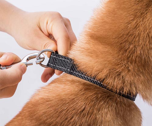 Soft confutable adjustable pet collar02 (5)