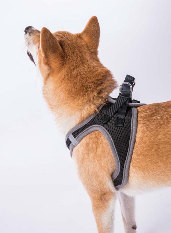 Soft confutable pet harness breathable02 (7)