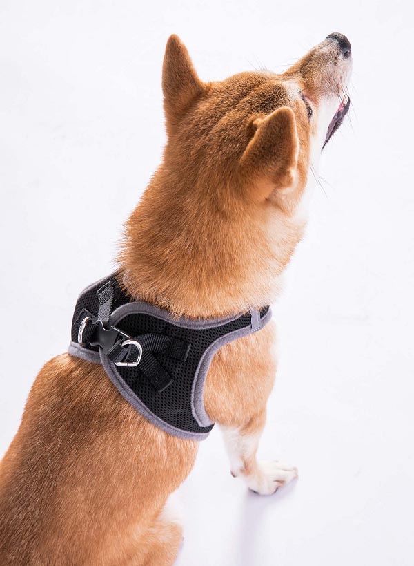 Soft confutable pet harness breathable02 (8)