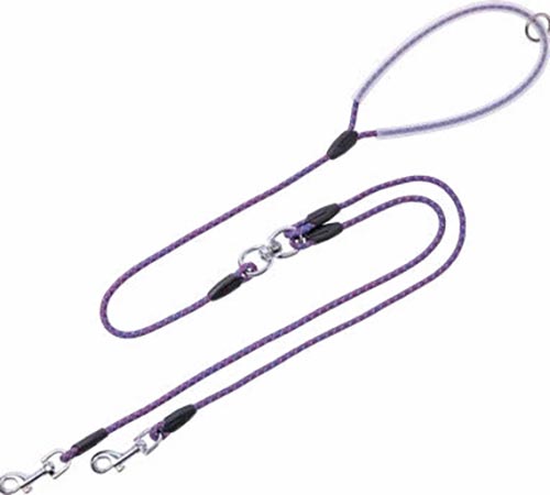 Strong Nylon Climbing Rope pet Leash02 (13)