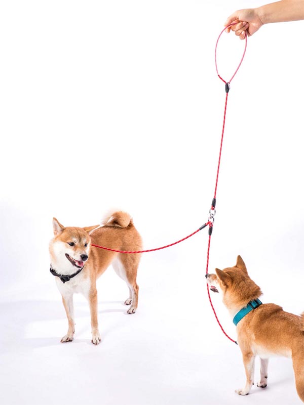 Strong Nylon Climbing Rope pet Leash02 (2)